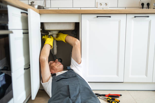 Best Affordable Plumber Near Me  in Sinking Spring, PA